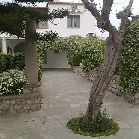 Il Merlo Anacapri (Isola di Capri) Exterior foto