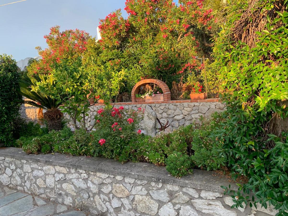 Il Merlo Anacapri (Isola di Capri) Exterior foto