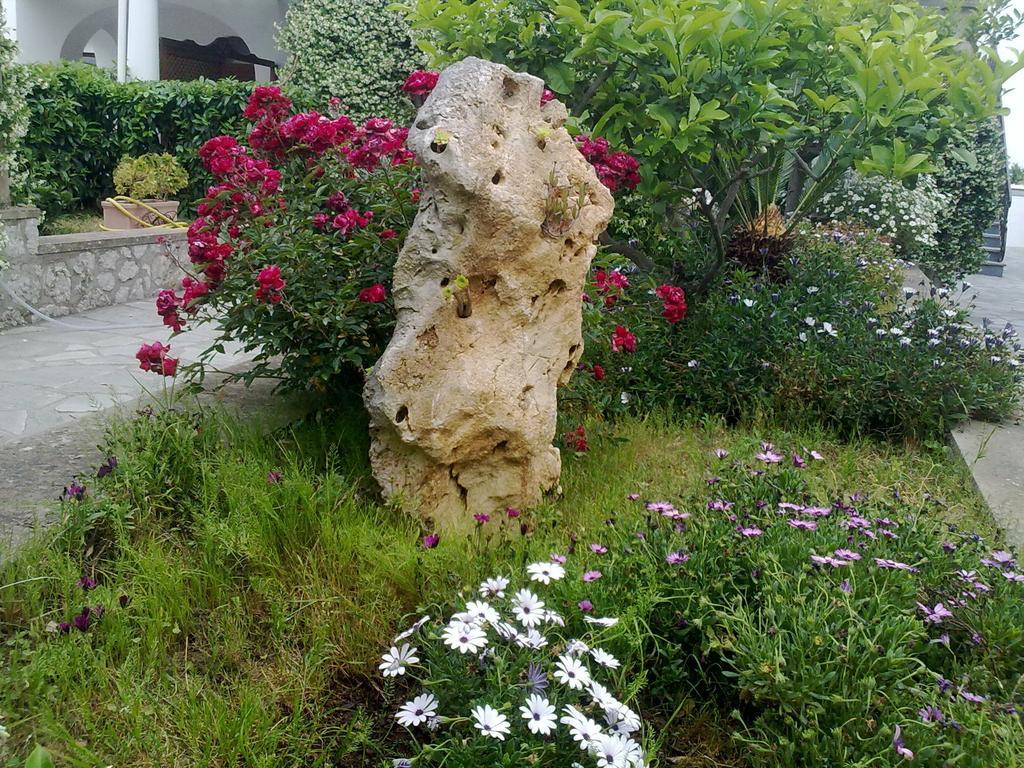 Il Merlo Anacapri (Isola di Capri) Exterior foto