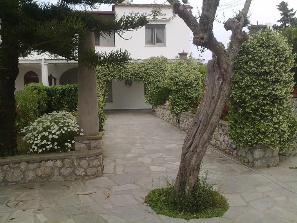 Il Merlo Anacapri (Isola di Capri) Exterior foto