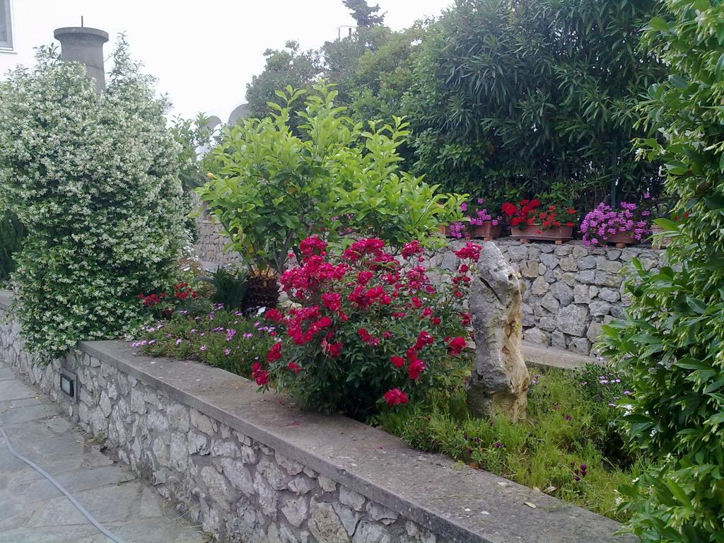 Il Merlo Anacapri (Isola di Capri) Exterior foto