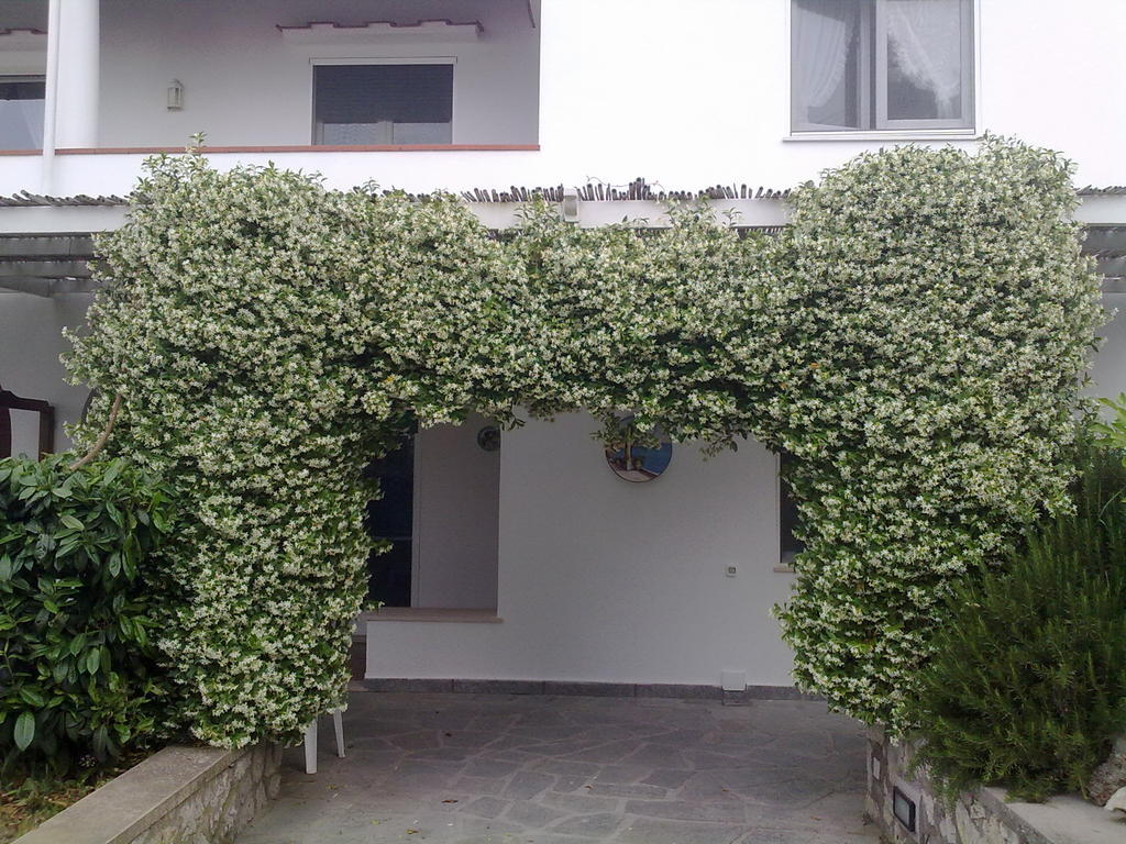 Il Merlo Anacapri (Isola di Capri) Exterior foto